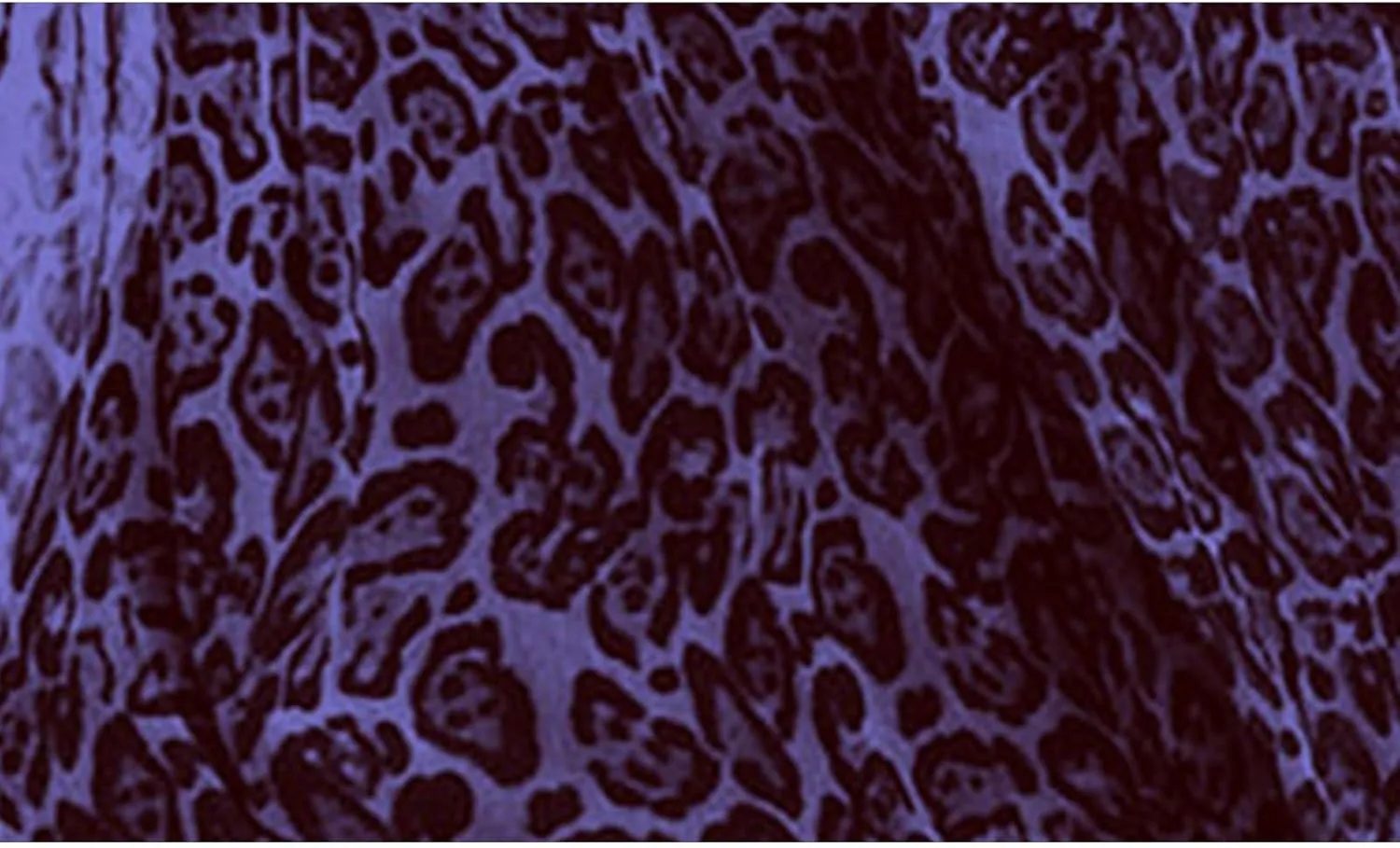 Women's Maxi Dress Spaghetti Strap Sleeveless V Neck Dress Leopard Printed Elegant Dresses Cocktail Party Dresses